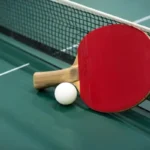 Table Tennis Rubber