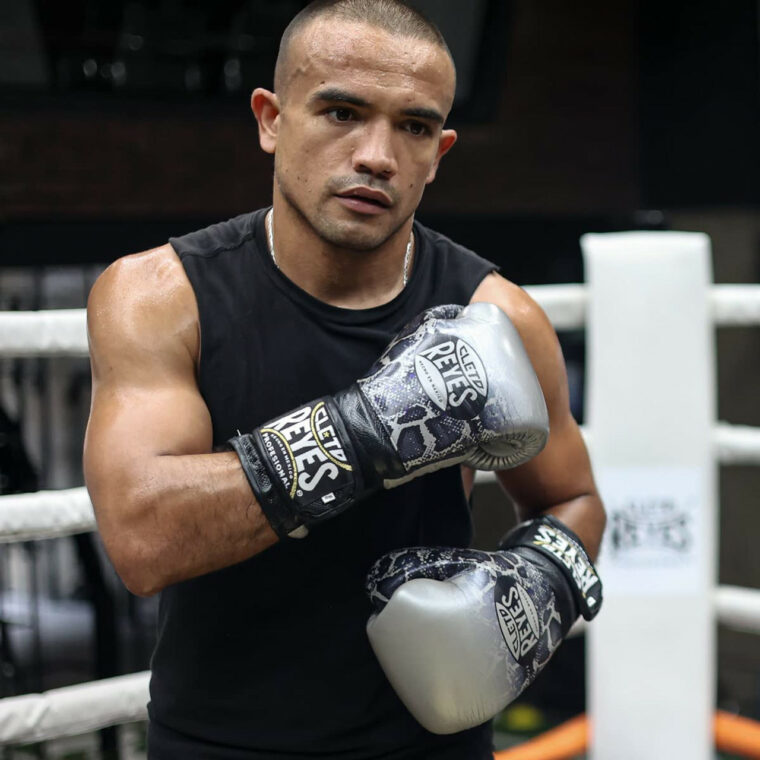 Cleto Reyes Training Boxing Gloves with Hook and Loop Closure - Silver/Black Steel Snake - Image 3