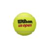 Open Extra Duty Tennis Ball Case